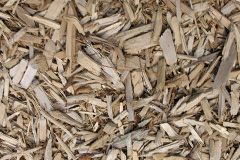 biomass boilers Snittongate